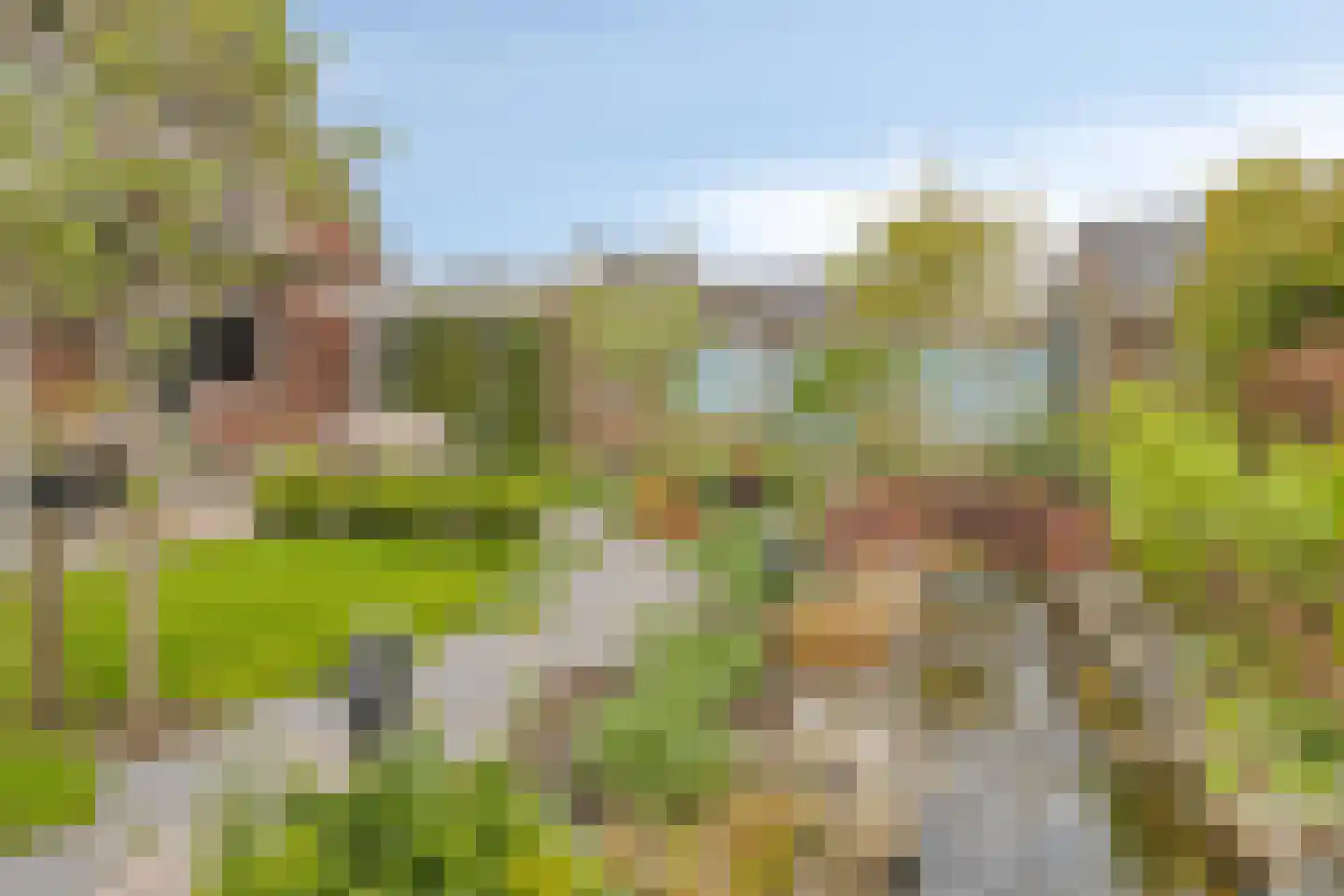 Comriekade 37 Woubrugge thumbnail 35