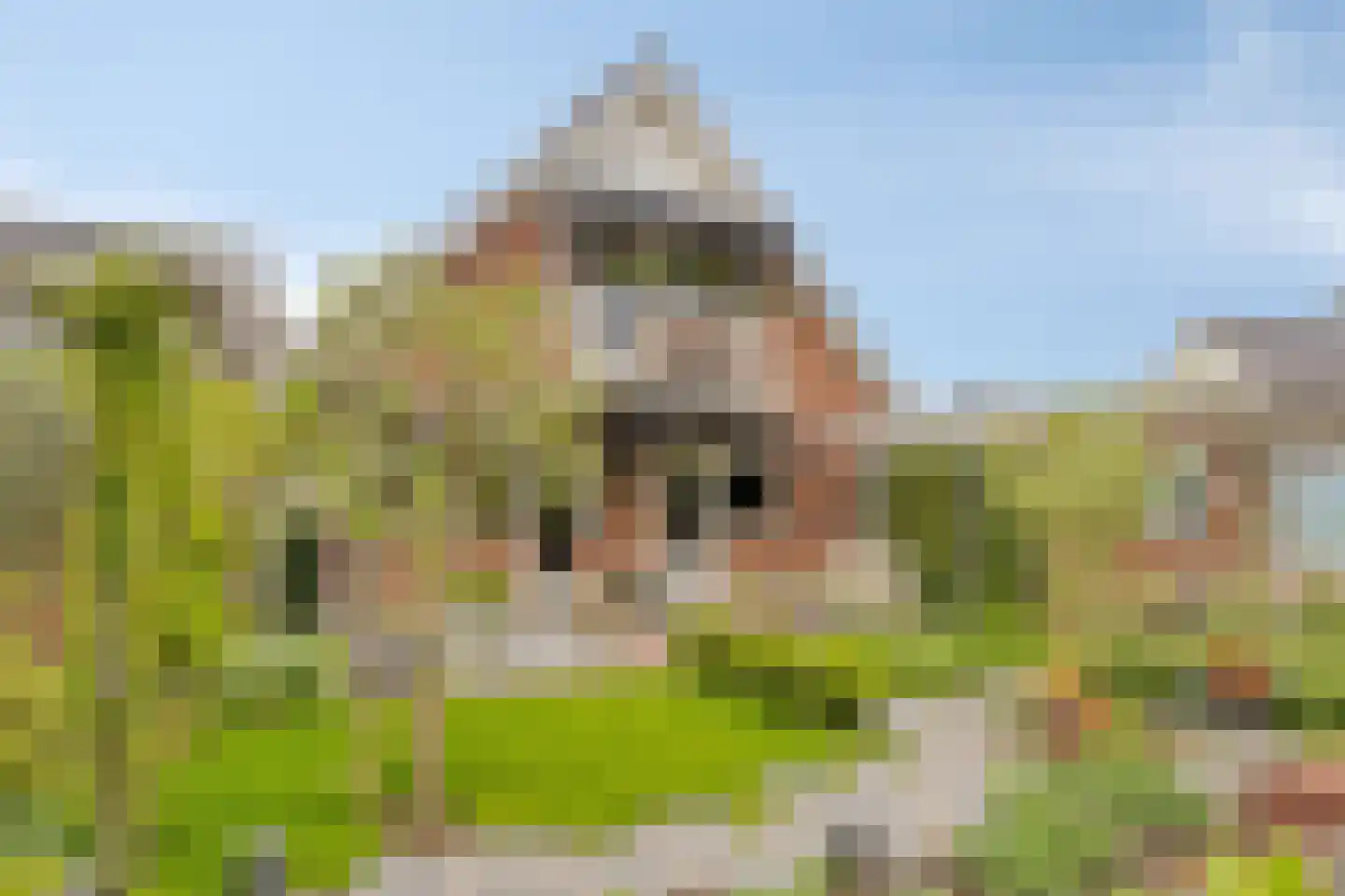 Comriekade 37 Woubrugge thumbnail 36