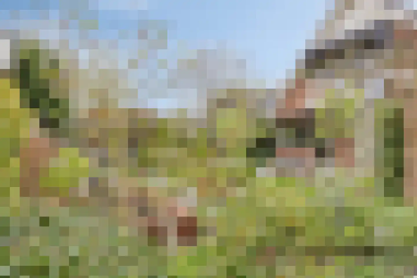 Comriekade 37 Woubrugge thumbnail 39