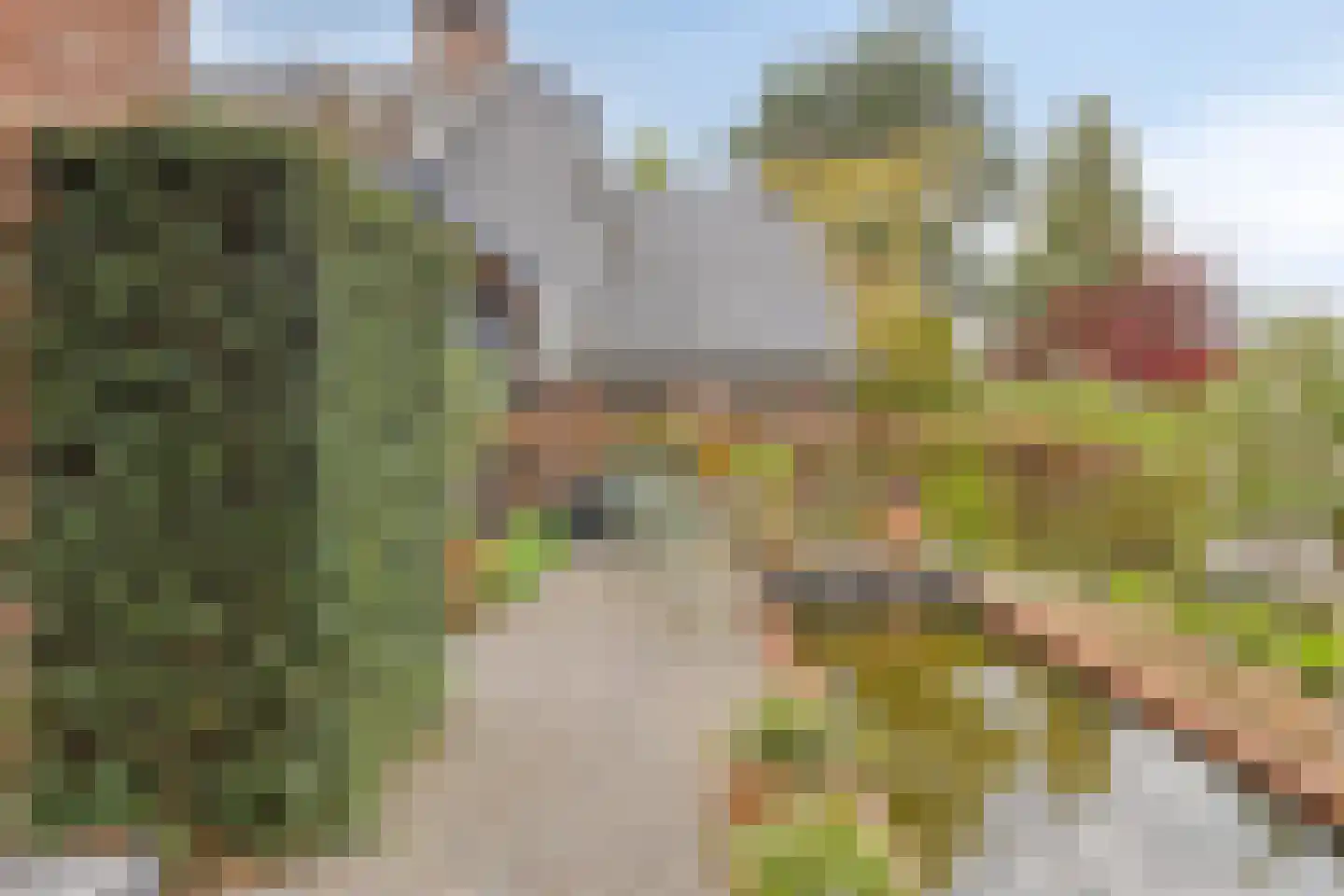 Comriekade 37 Woubrugge thumbnail 44