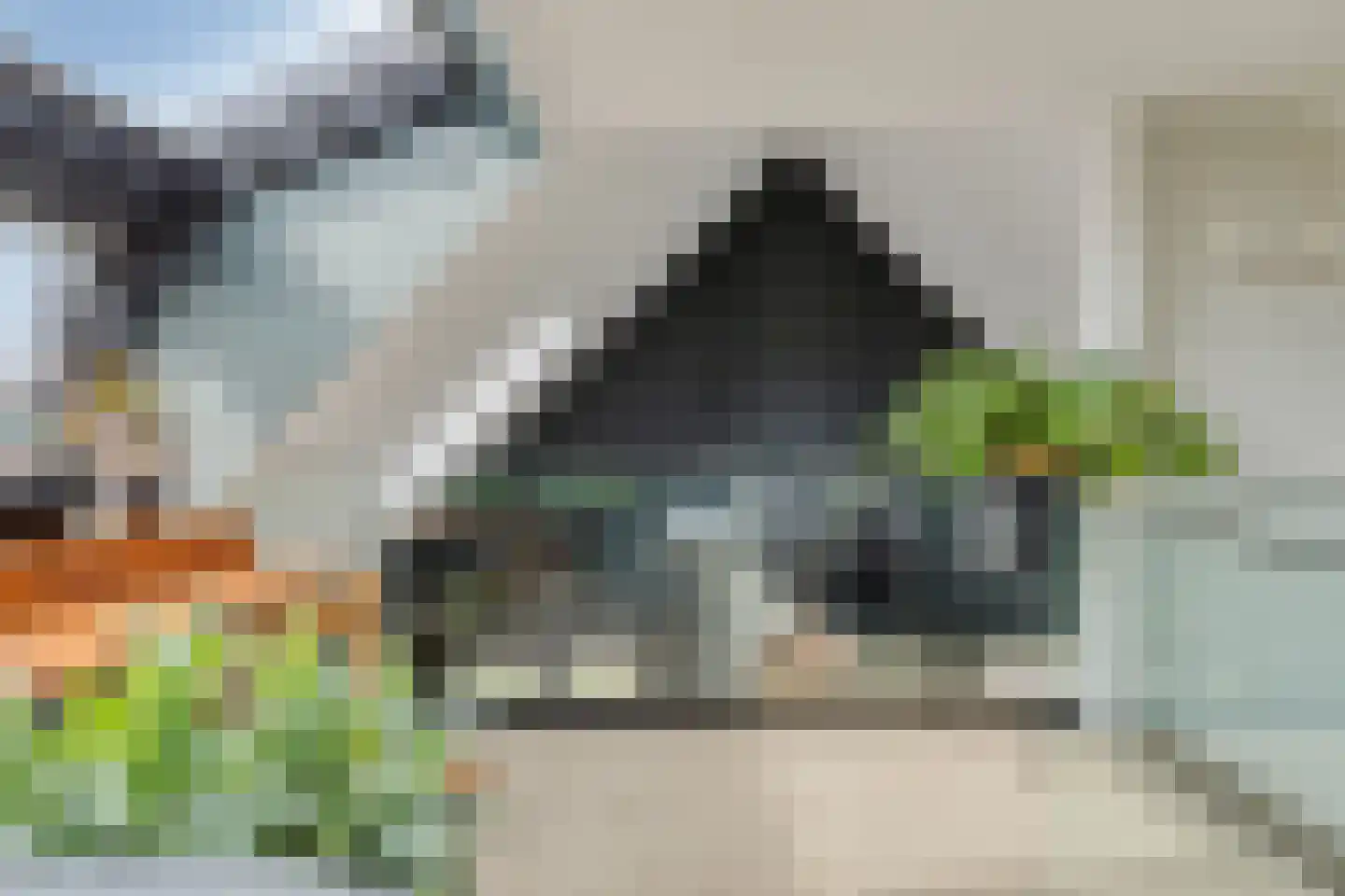 Comriekade 37 Woubrugge thumbnail 54