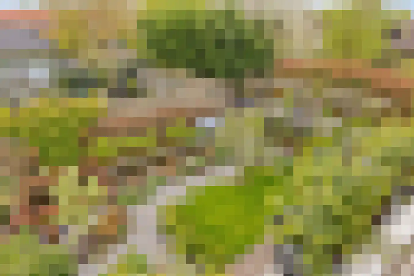 Comriekade 37 Woubrugge thumbnail 60