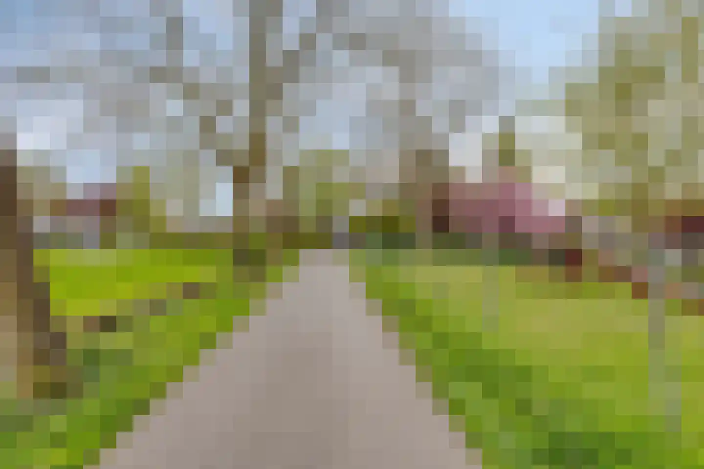 Comriekade 37 Woubrugge thumbnail 65