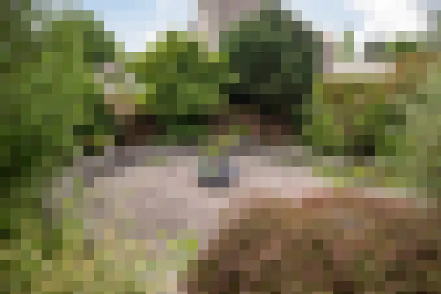 Concertlaan 36 Kampen thumbnail 42