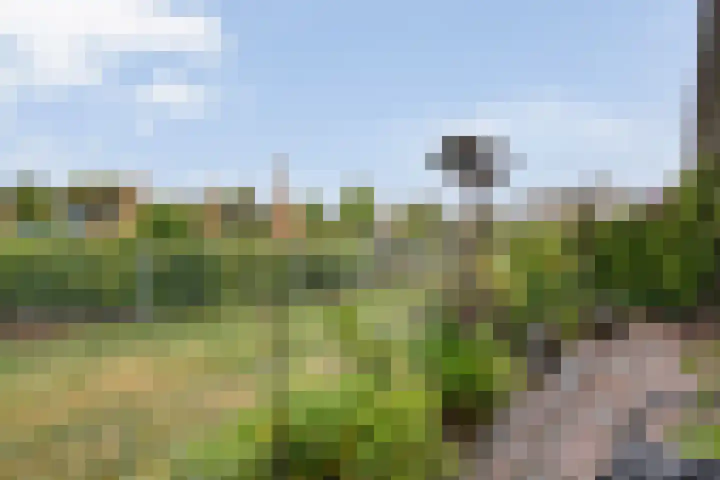 Concertlaan 46 Kampen thumbnail 31