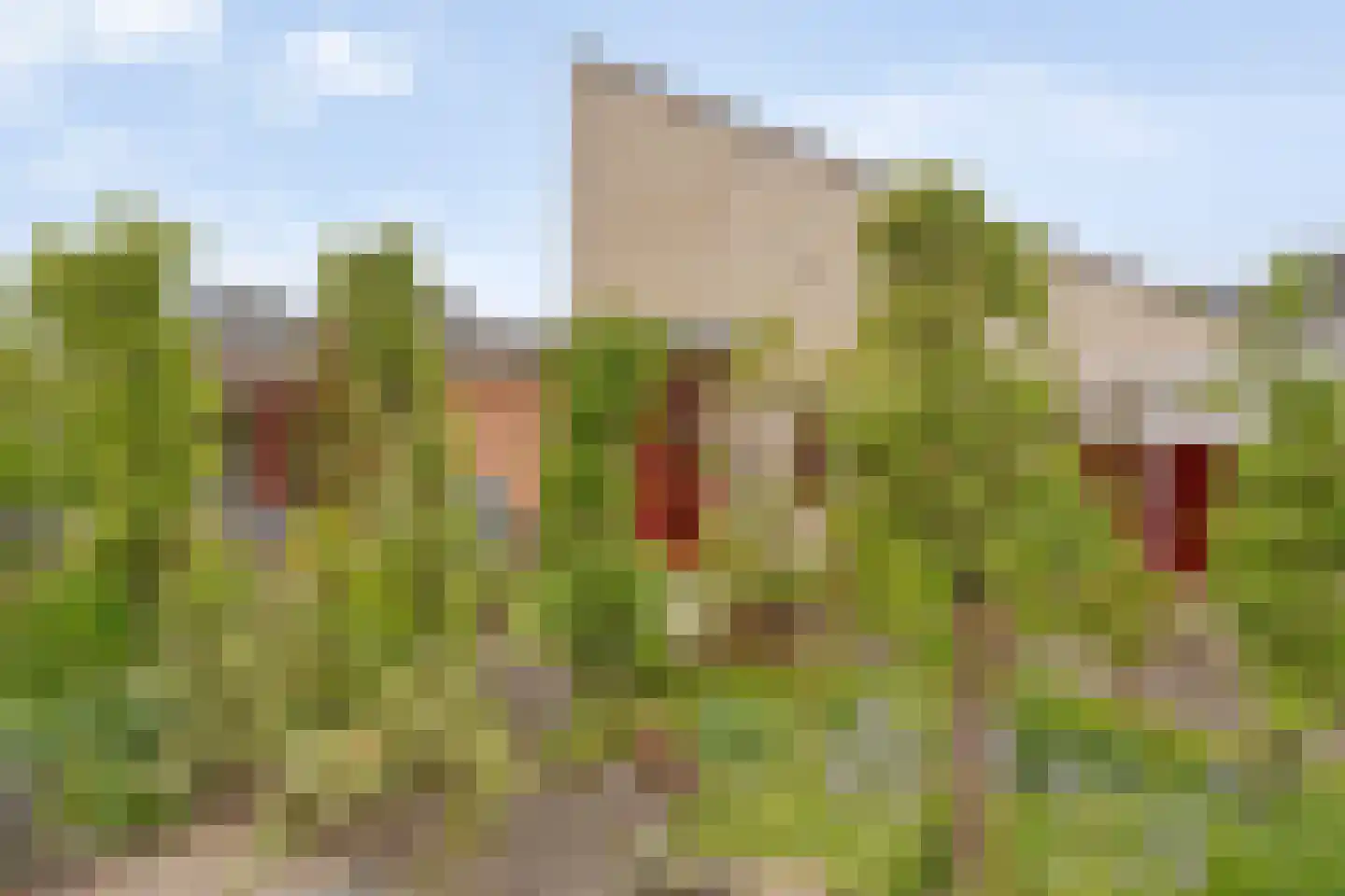 Concertlaan 46 Kampen thumbnail 35