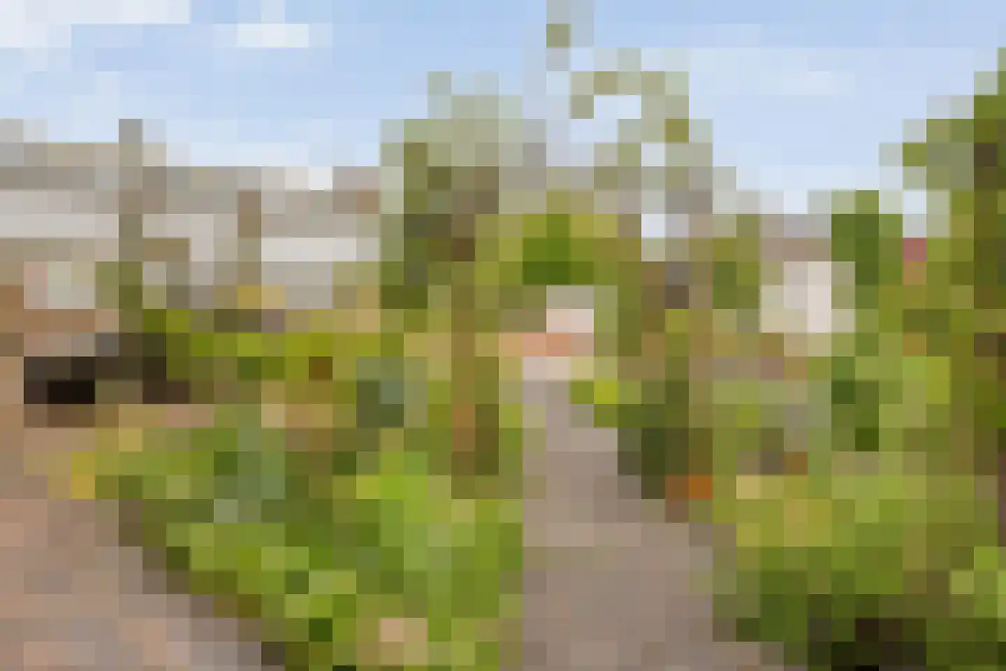 Concertlaan 46 Kampen thumbnail 36