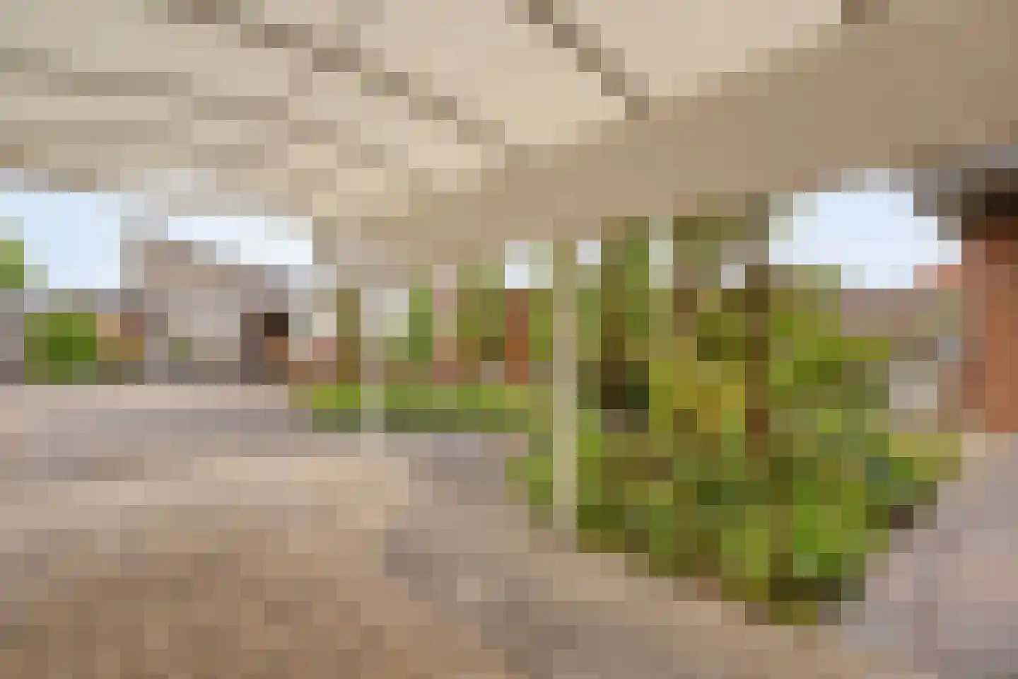 Concertlaan 46 Kampen thumbnail 37