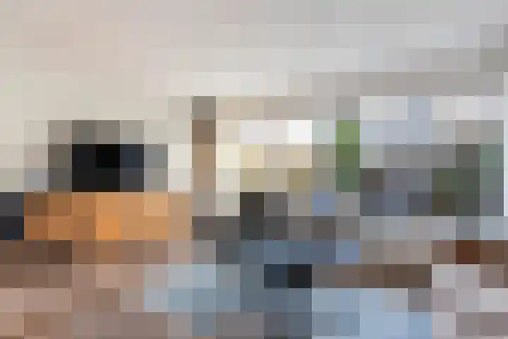 Concertlaan 9 Kampen thumbnail 10
