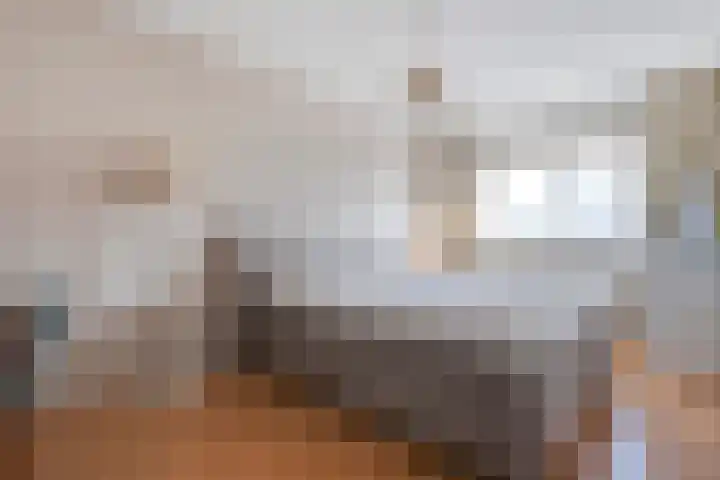 Concertlaan 9 Kampen thumbnail 19