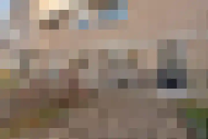 Concertlaan 9 Kampen thumbnail 4