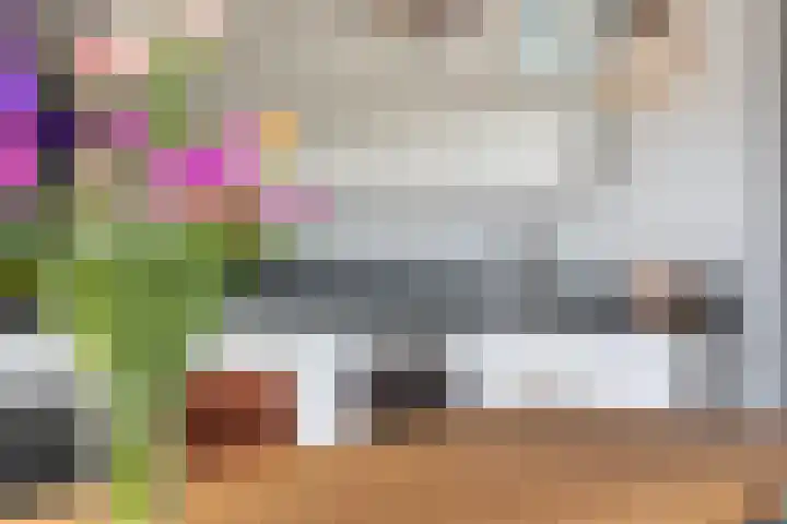 Concertstraat 21 Apeldoorn thumbnail 12
