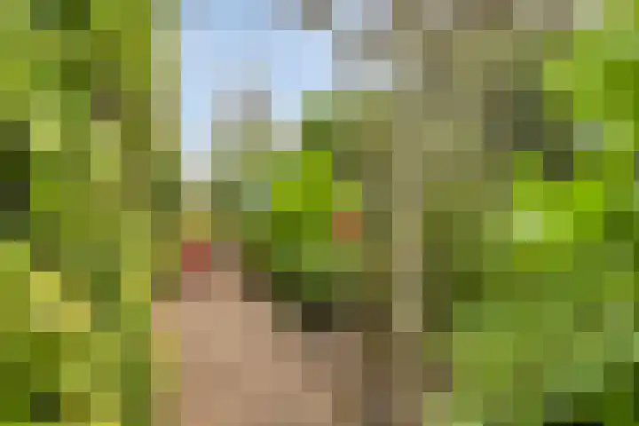 Concertweg 19 Barendrecht thumbnail 30