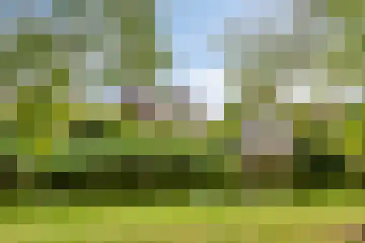 Concertweg 19 Barendrecht thumbnail 33