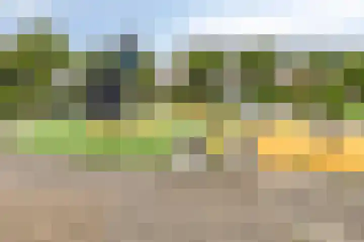 Concertweg 19 Barendrecht thumbnail 41