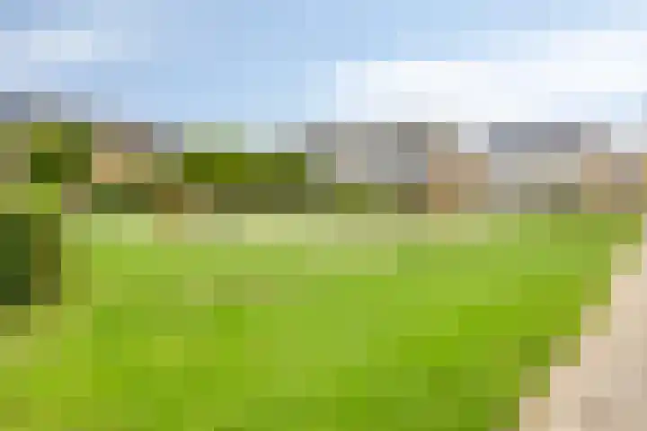 Concertweg 19 Barendrecht thumbnail 42