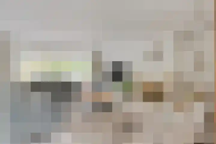 Concertweg 19 Barendrecht thumbnail 5