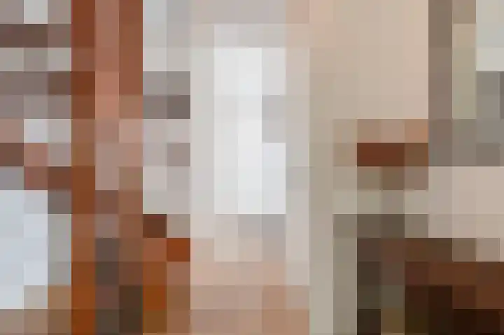 Concorde 23 Buren thumbnail 16