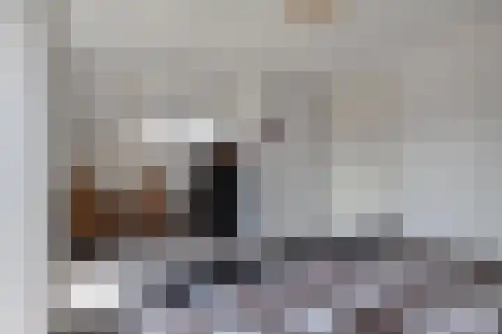 Concorde 23 Buren thumbnail 25