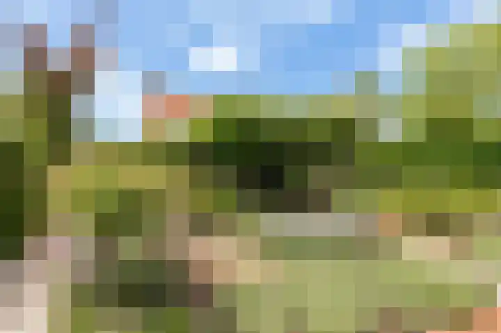 Concorde 23 Buren thumbnail 29