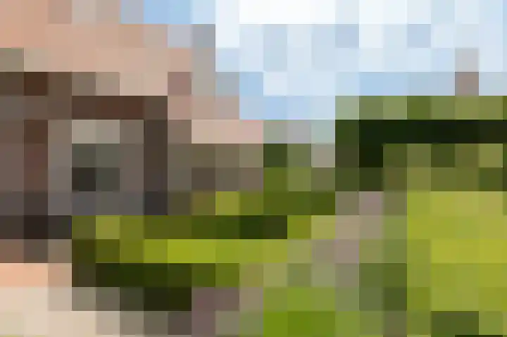 Concorde 23 Buren thumbnail 30
