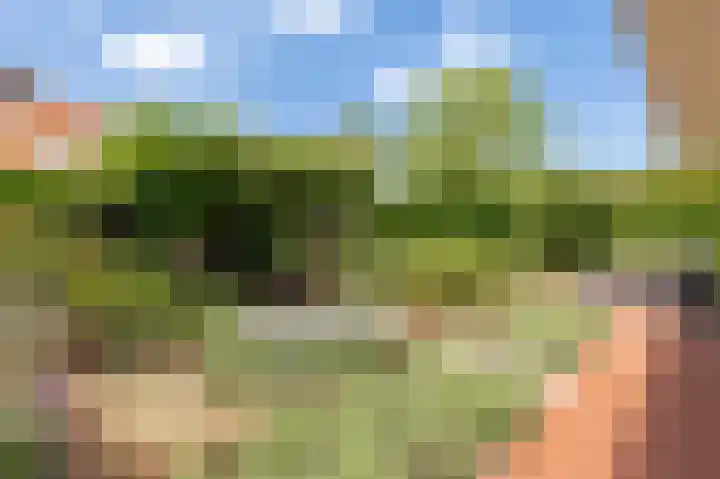 Concorde 23 Buren thumbnail 31