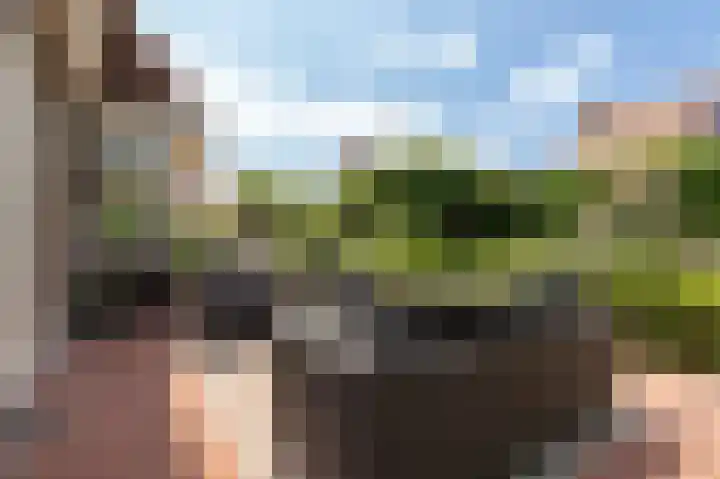 Concorde 23 Buren thumbnail 33
