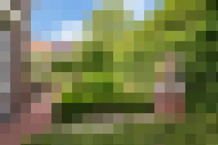 Concorde 23 Buren thumbnail 34