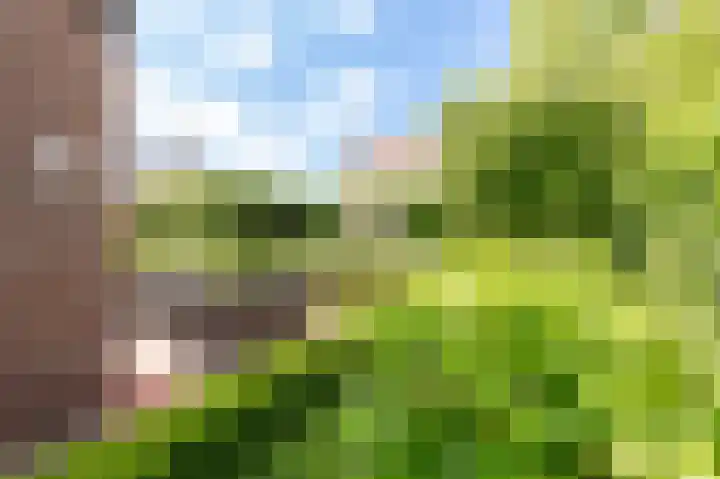 Concorde 23 Buren thumbnail 35