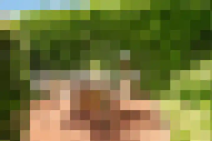 Concorde 23 Buren thumbnail 36