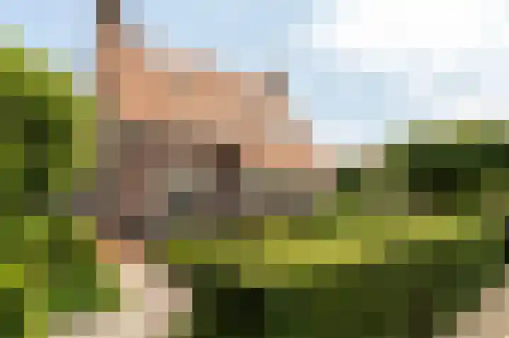 Concorde 23 Buren thumbnail 39