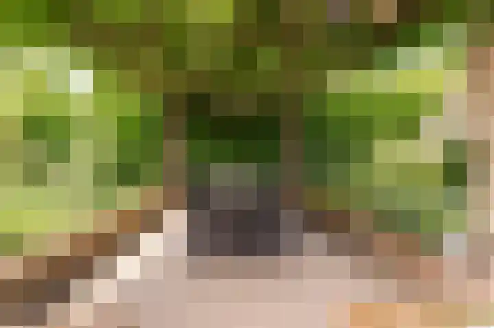 Concorde 23 Buren thumbnail 40