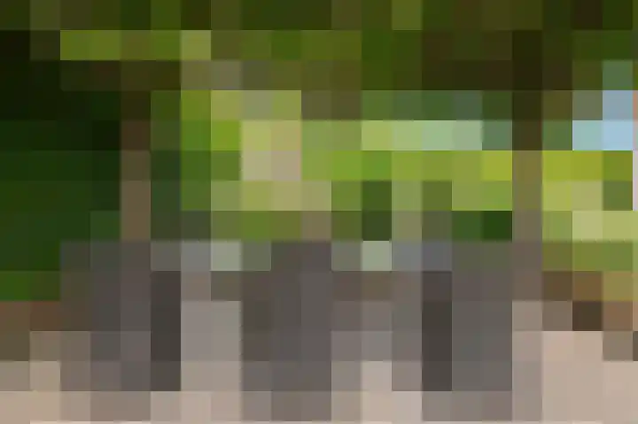 Concorde 23 Buren thumbnail 42