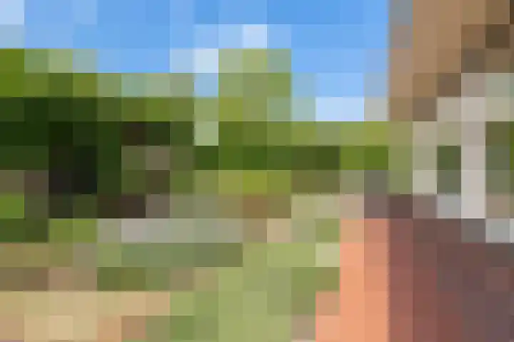 Concorde 23 Buren thumbnail 43