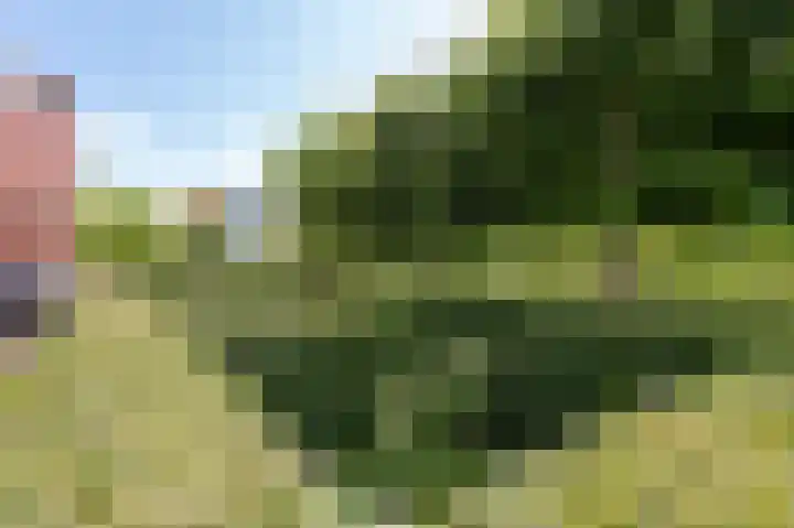 Concorde 23 Buren thumbnail 47