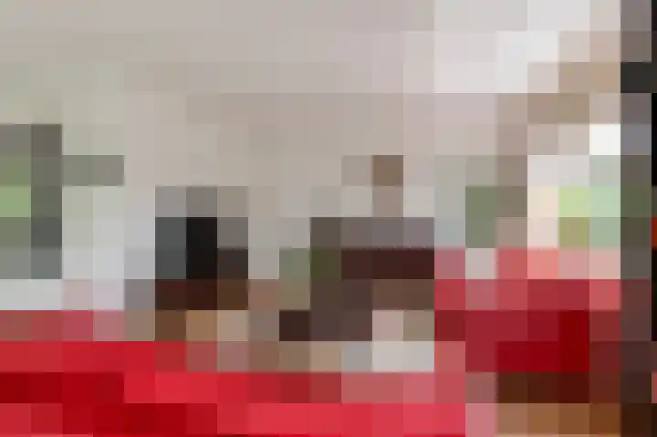 Concorde 23 Buren thumbnail 8