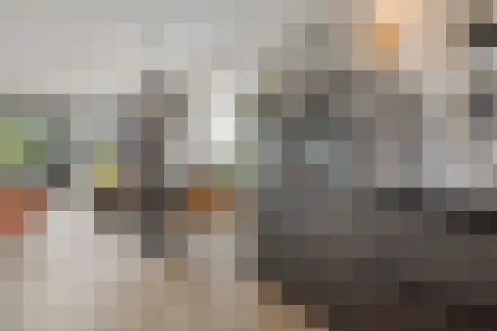 Concordia 39 Kruiningen thumbnail 15