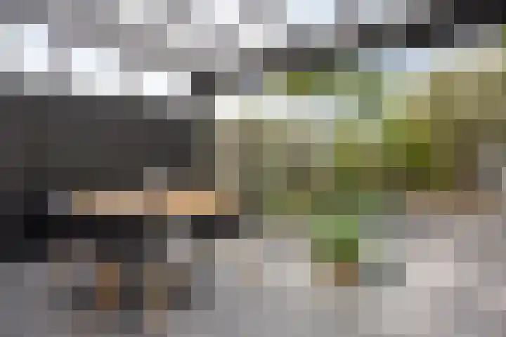 Concordia 39 Kruiningen thumbnail 18