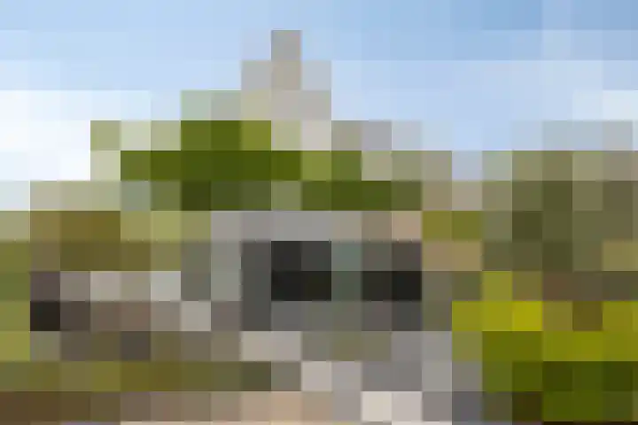 Concordia 39 Kruiningen thumbnail 4
