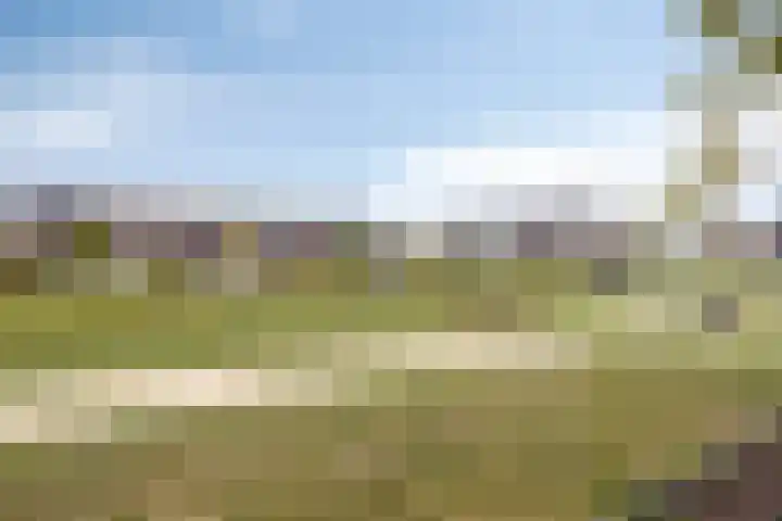 Concordia 39 Kruiningen thumbnail 40