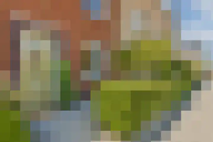 Concordia 5 Diemen thumbnail 10