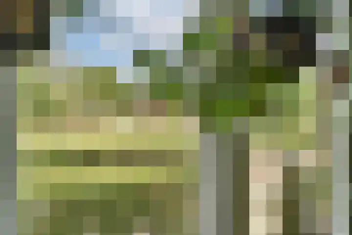 Concordia 5 Diemen thumbnail 19