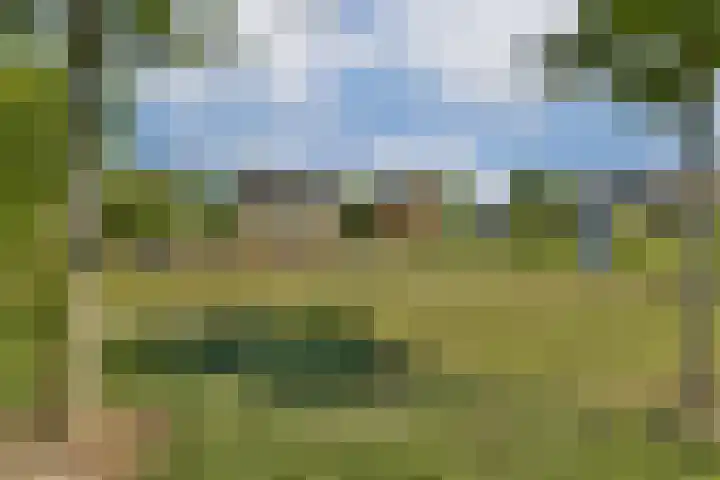 Concordia 5 Diemen thumbnail 37