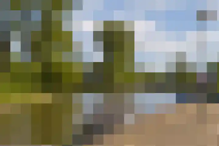 Concordia 5 Diemen thumbnail 39