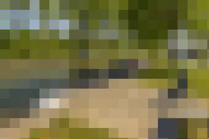 Concordia 5 Diemen thumbnail 40