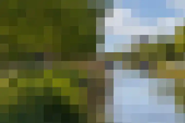 Concordia 5 Diemen thumbnail 41