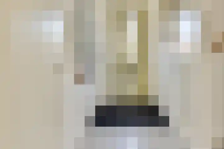 Concordia 5 Diemen thumbnail 8