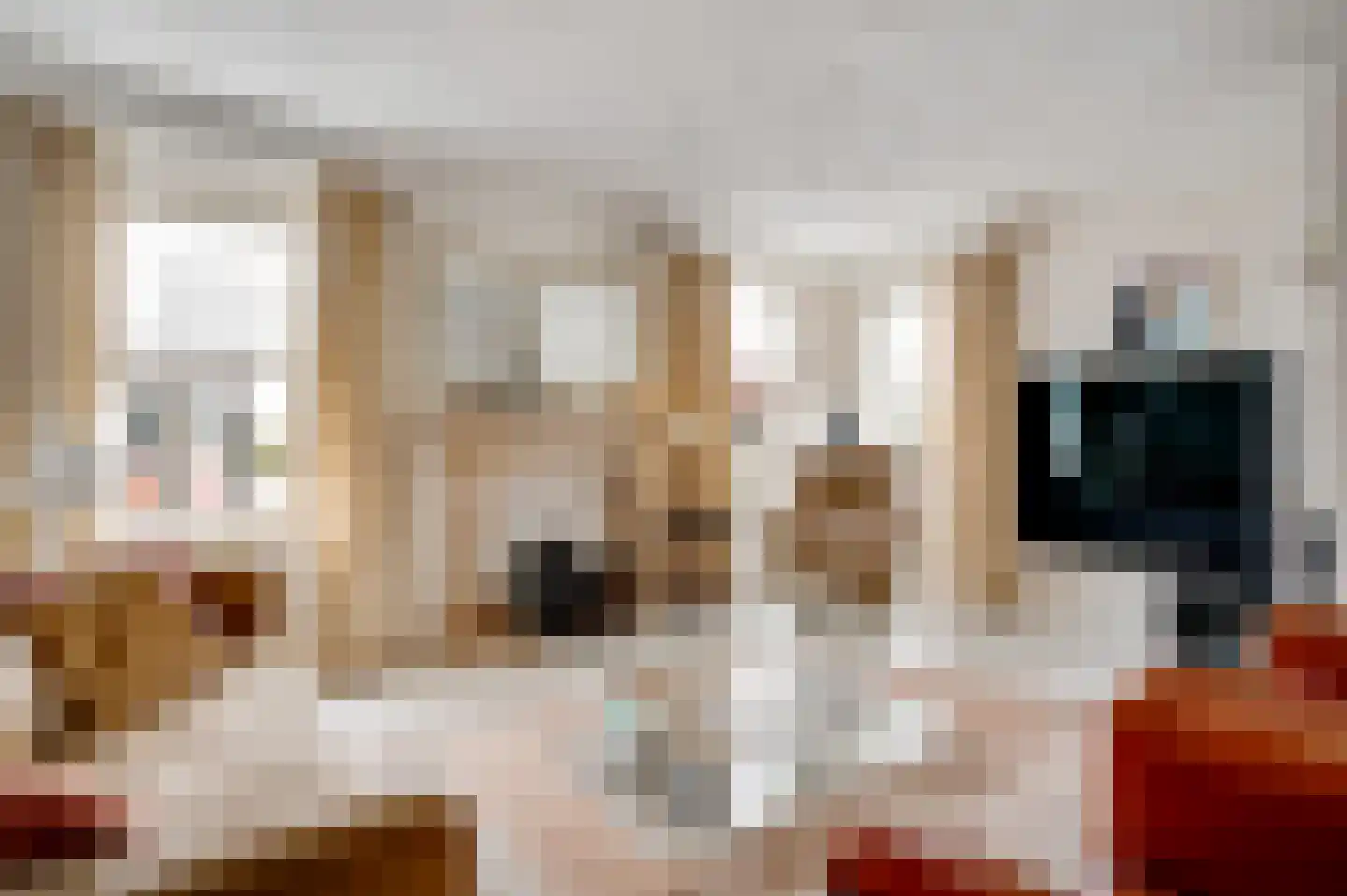 Concordiahof 19 Ittervoort thumbnail 13