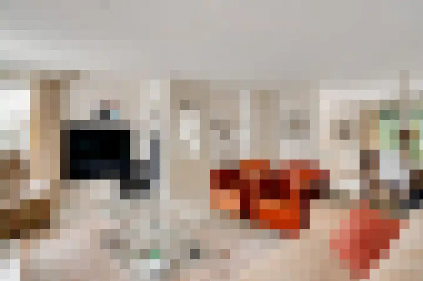 Concordiahof 19 Ittervoort thumbnail 14