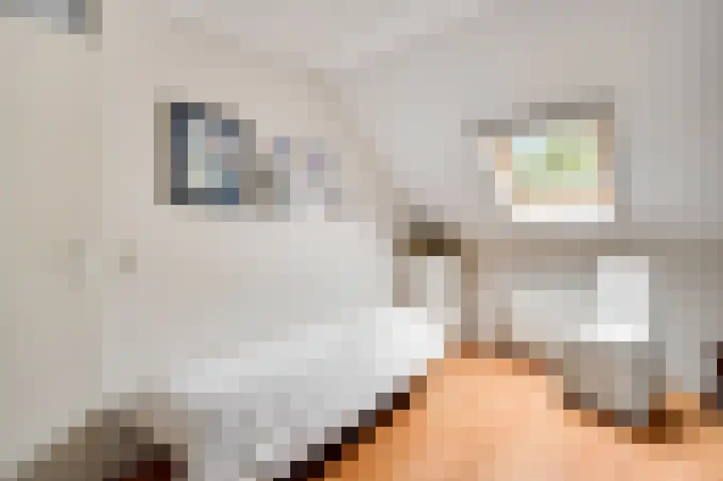 Concordiahof 19 Ittervoort thumbnail 22